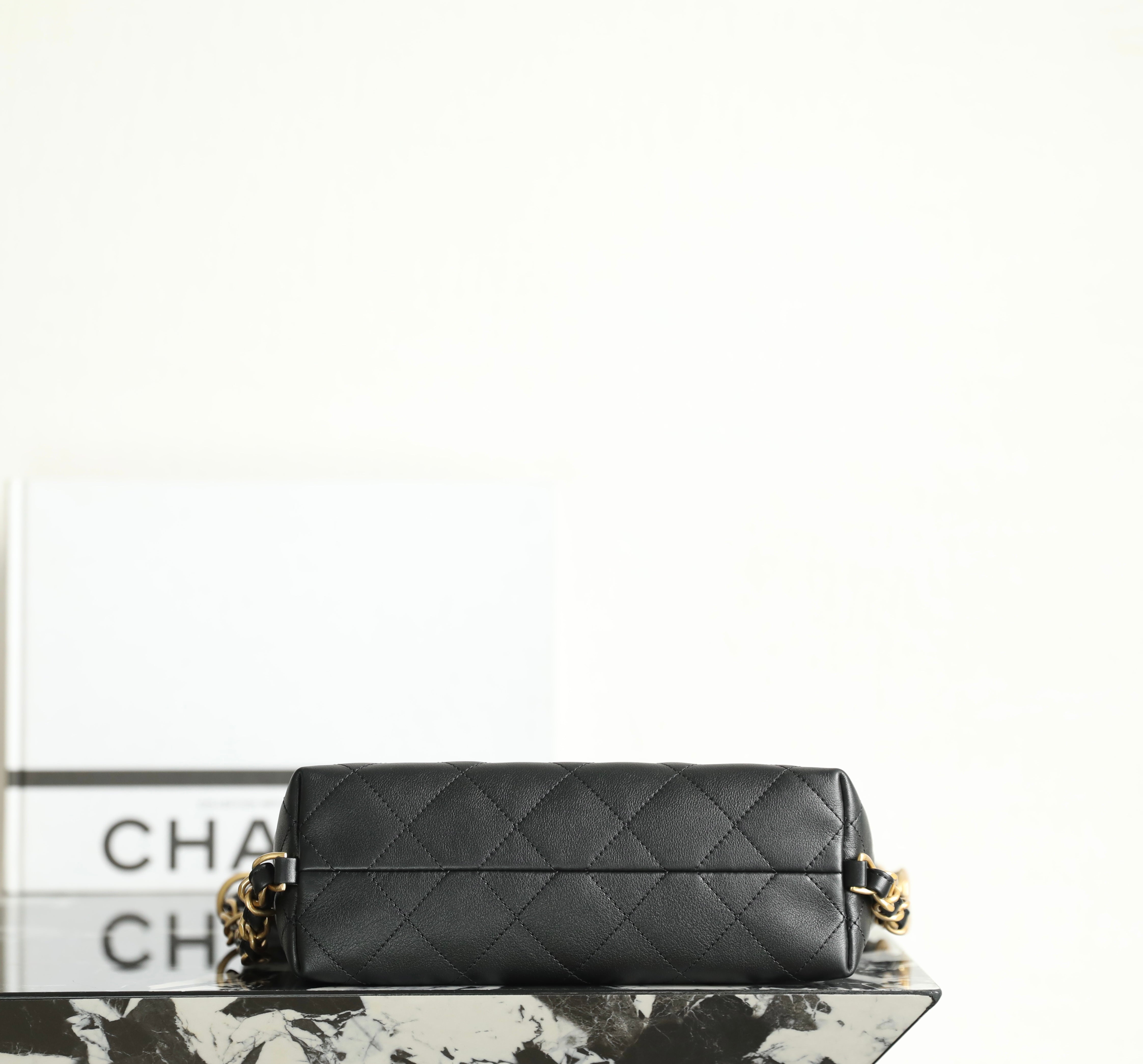 Chanel 25s 𝗛𝗼𝗯𝗼 Backpack Small Black Calfskin 340195