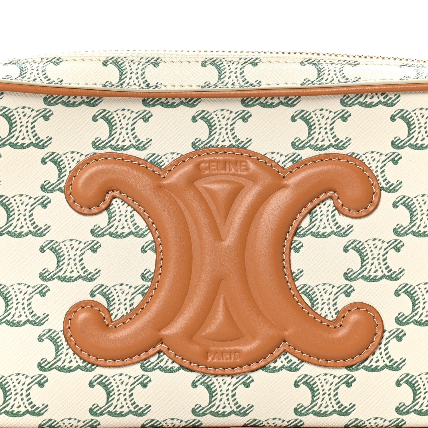 Triomphe Canvas Calfskin Camera Shoulder Bag Green