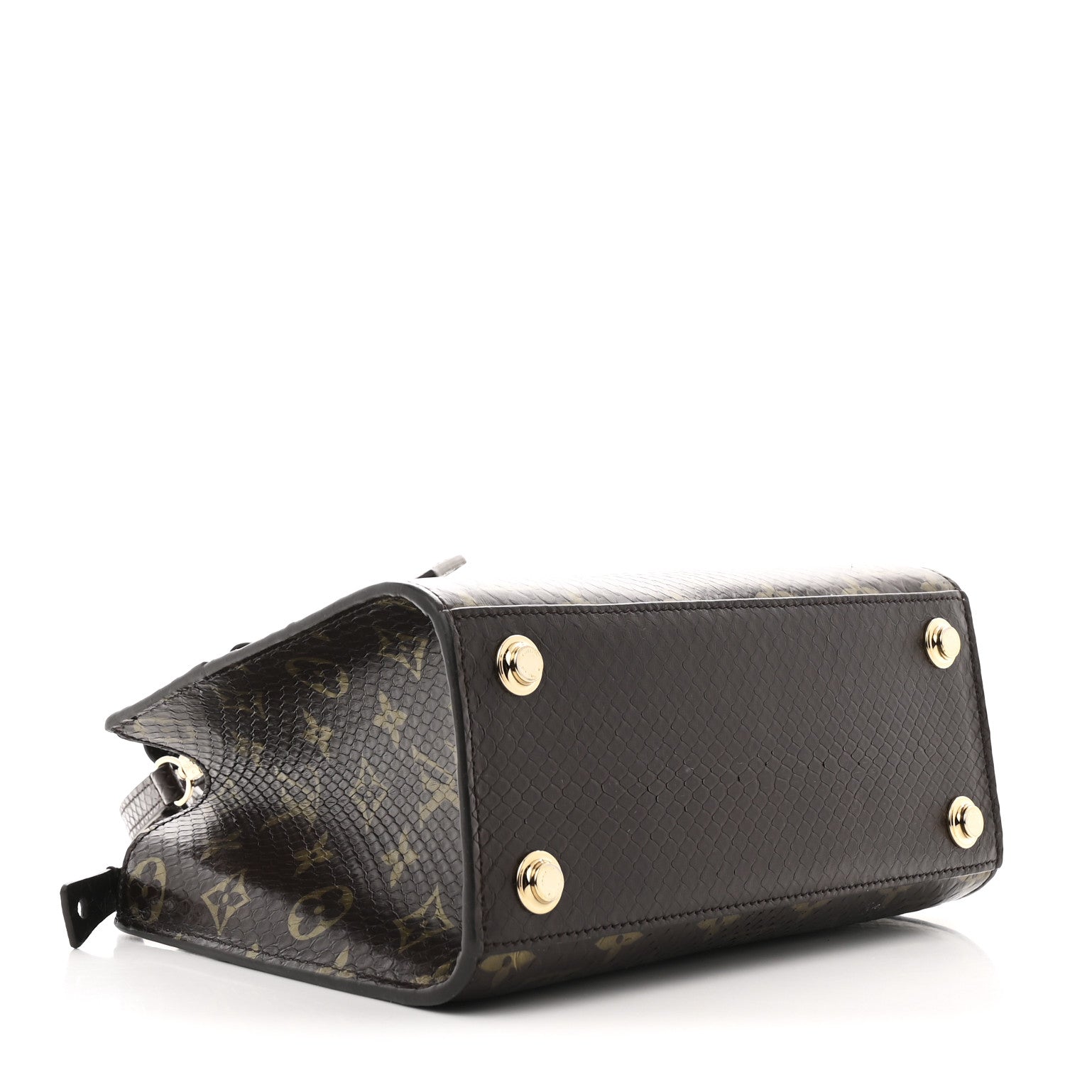 Snakeskin Monogram City Steamer Mini Brown