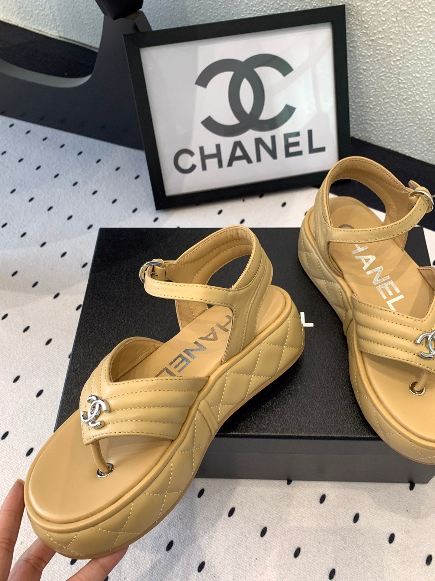 CC Thong Sandals In Dark Beige Lambskin 147040