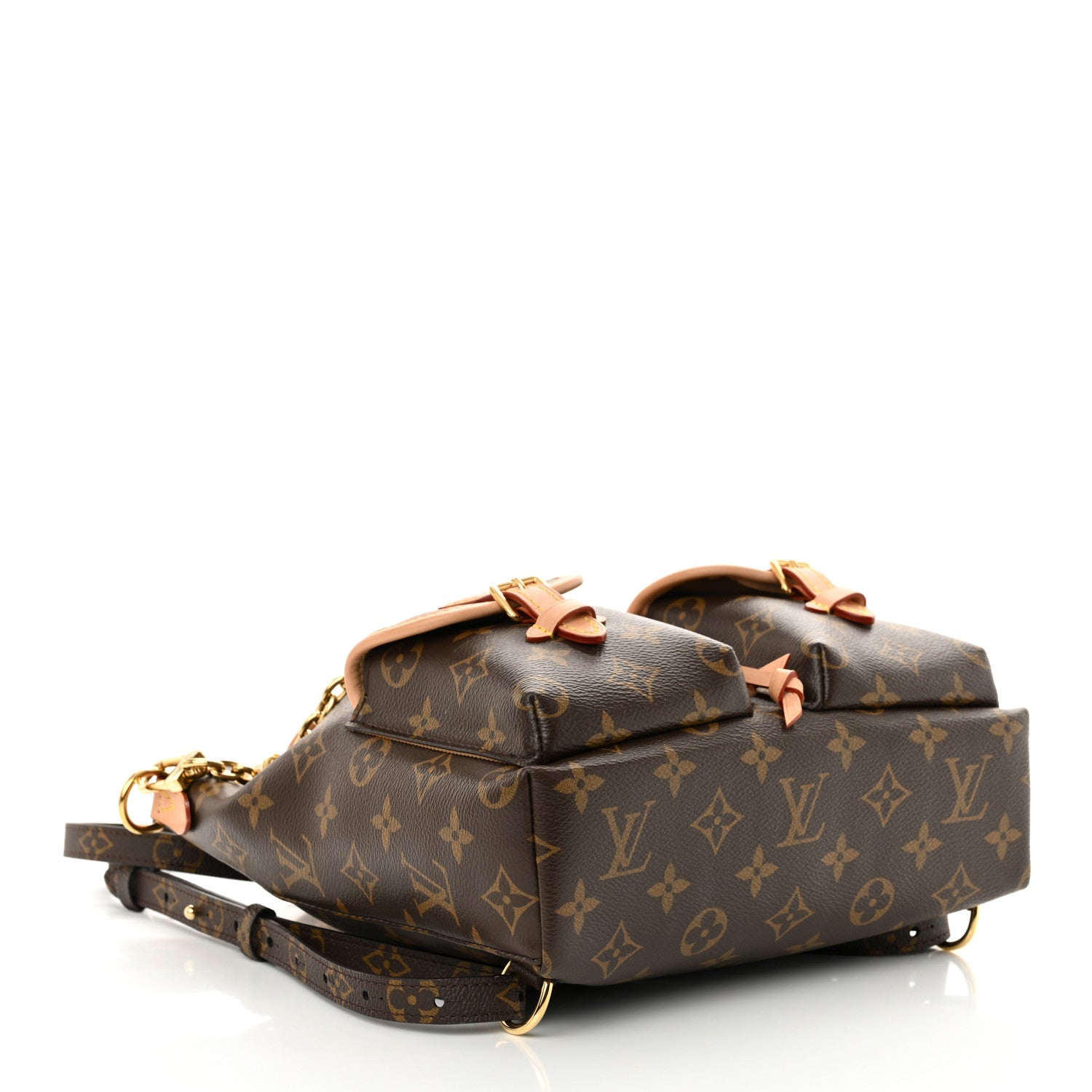 Monogram Excursion PM Backpack