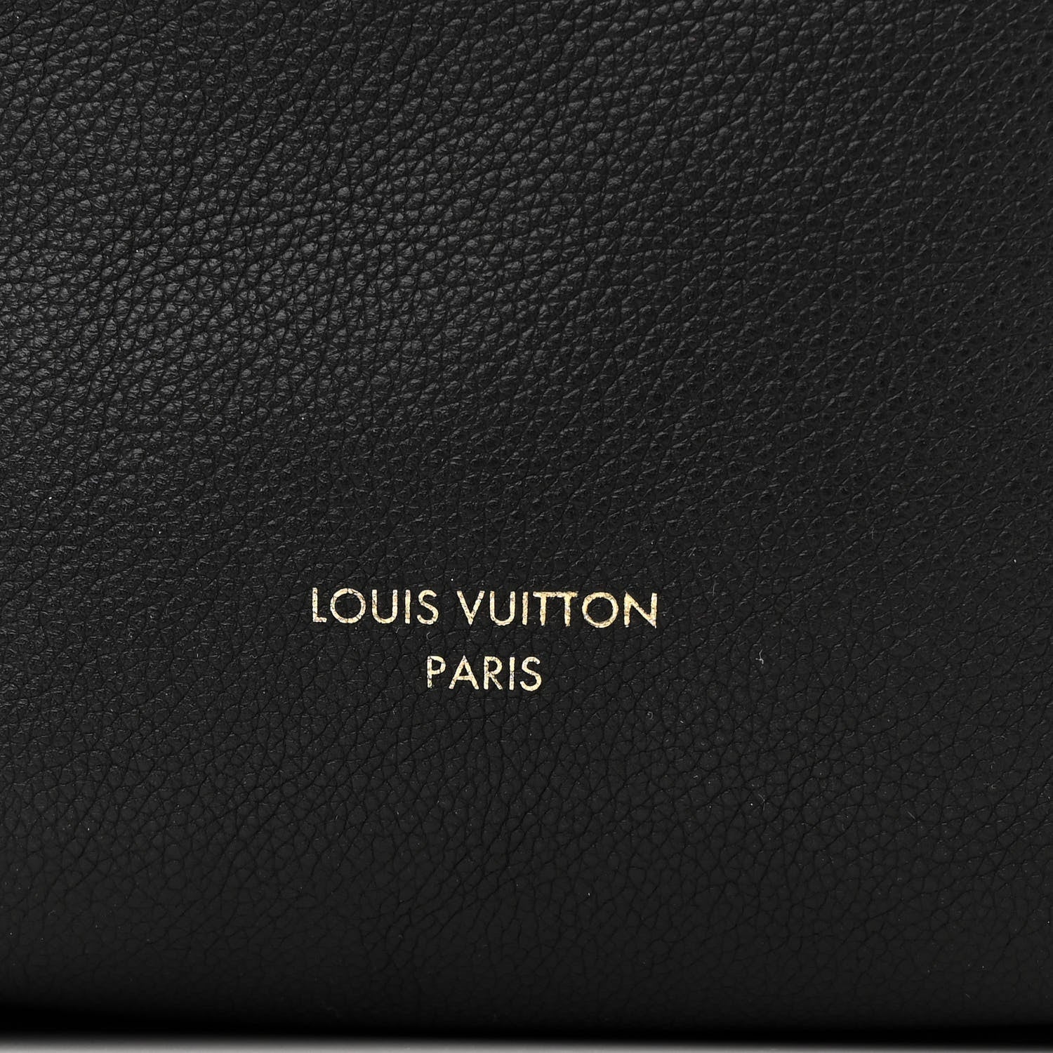 Grained Calfskin Low Key Hobo PM Black