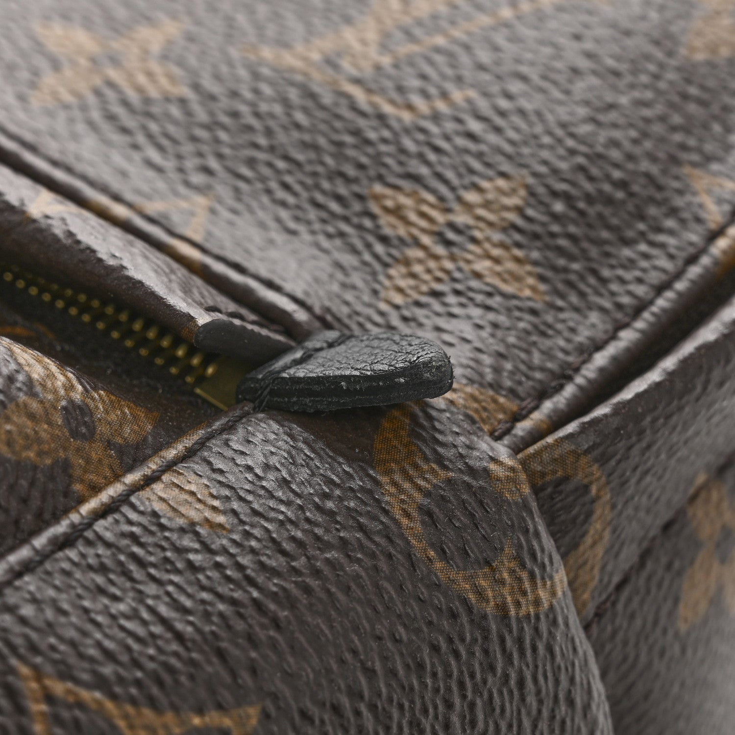 Monogram Palm Springs Backpack Mini