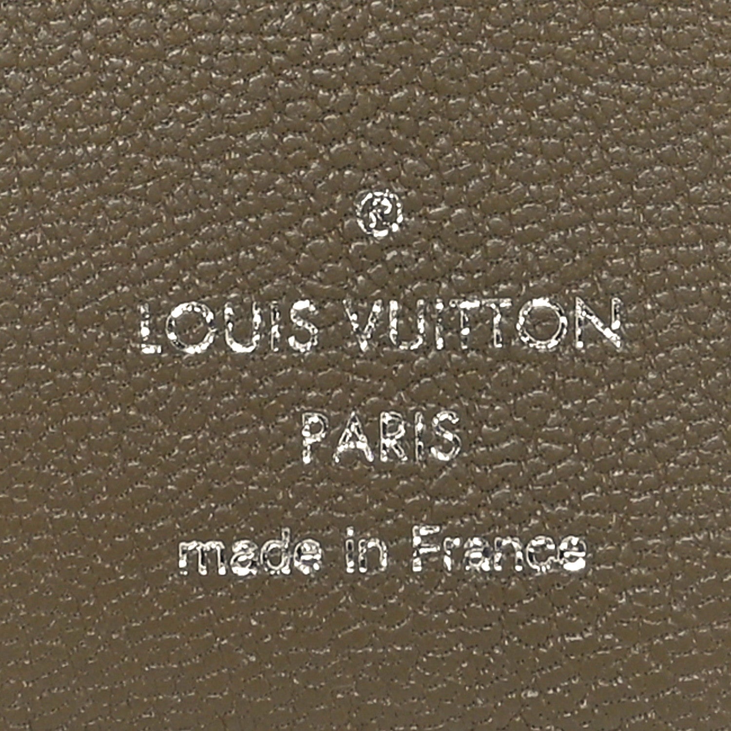 Crocodile Pocket Organizer Sage Green