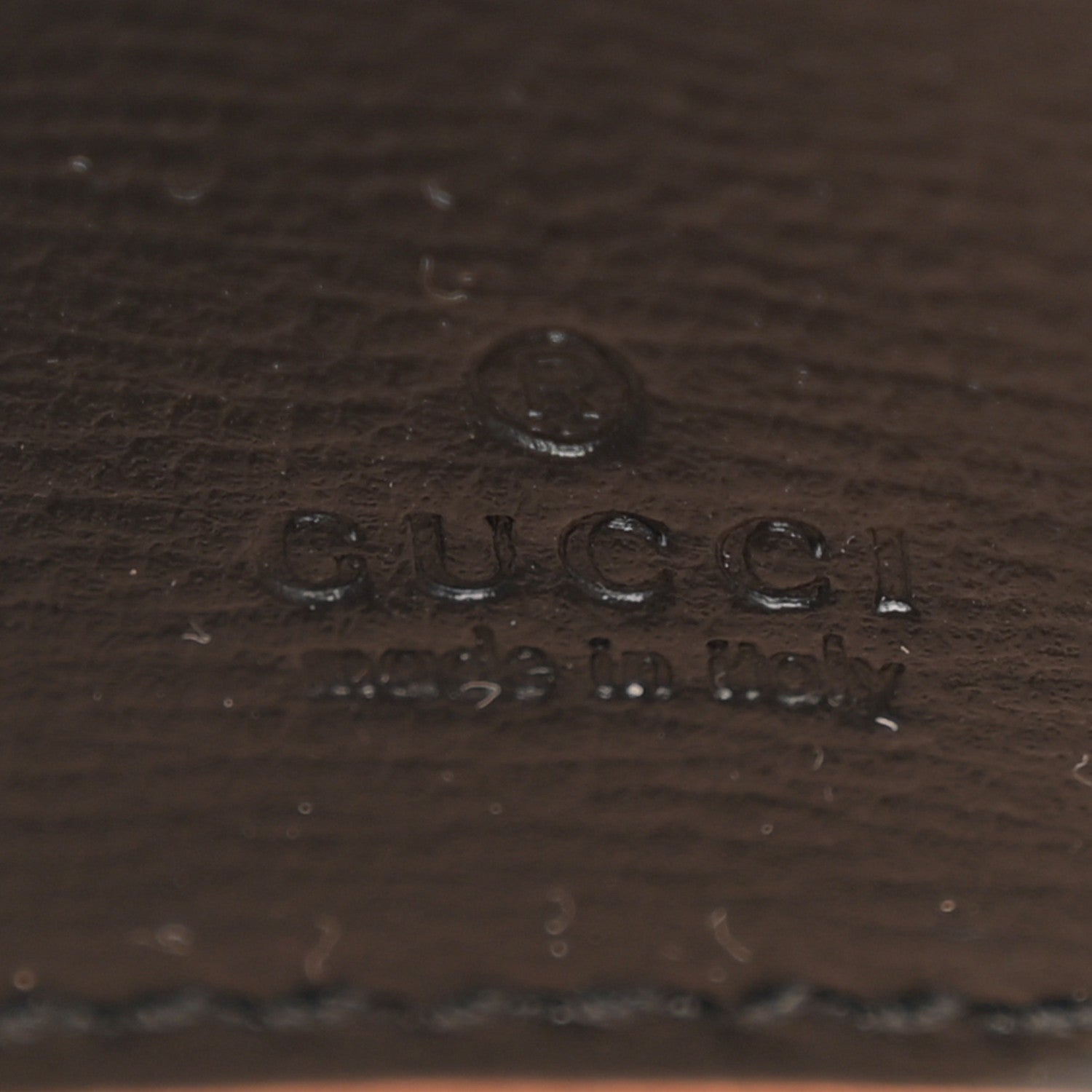 Azalea Calfskin Web Monochrome Horsebit 1955 Wallet On Strap Black