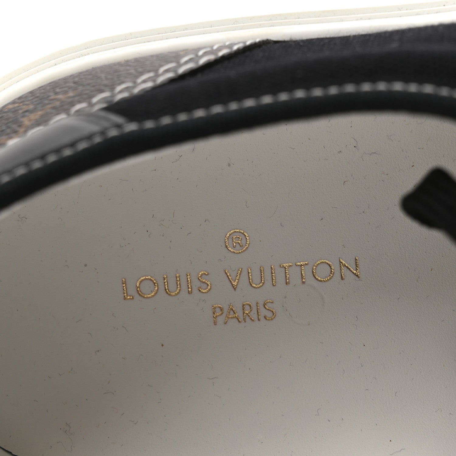 Monogram Trocadero Richelieu Sneakers 10