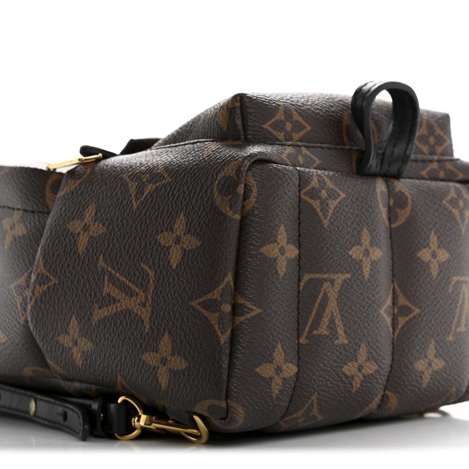 Monogram Palm Springs Backpack Mini