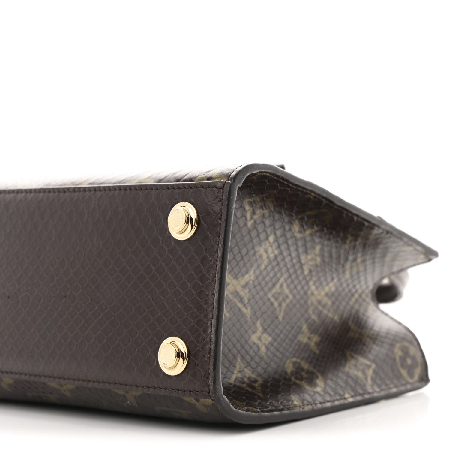 Snakeskin Monogram City Steamer Mini Brown