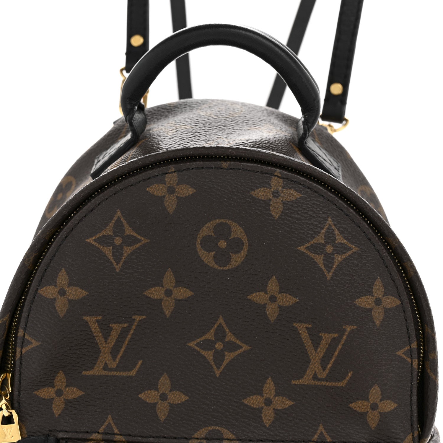 Monogram Palm Springs Backpack Mini
