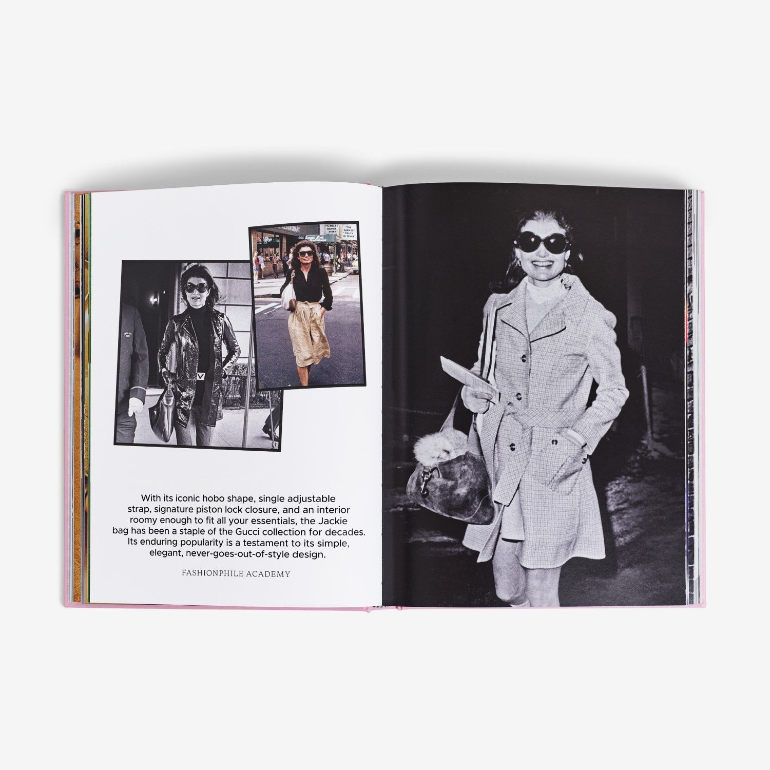 The Book of Iconic Bags