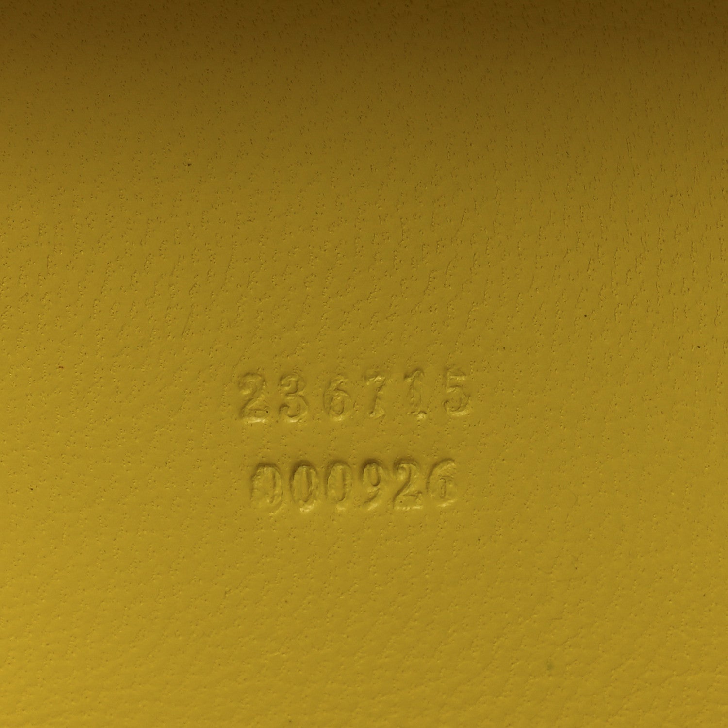 Snakeskin Skull Box Clutch Bright Yellow