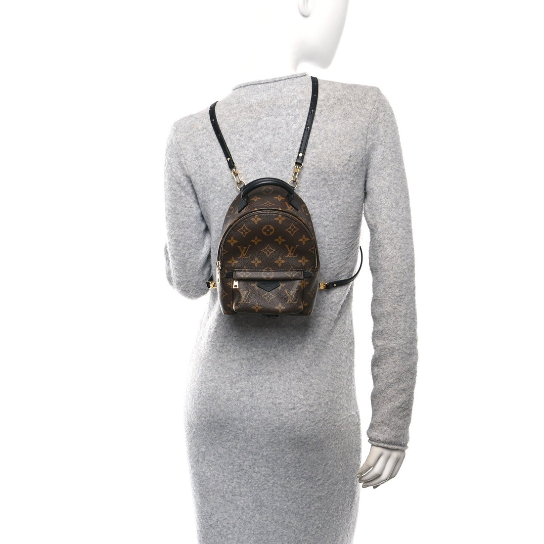 Monogram Palm Springs Backpack Mini