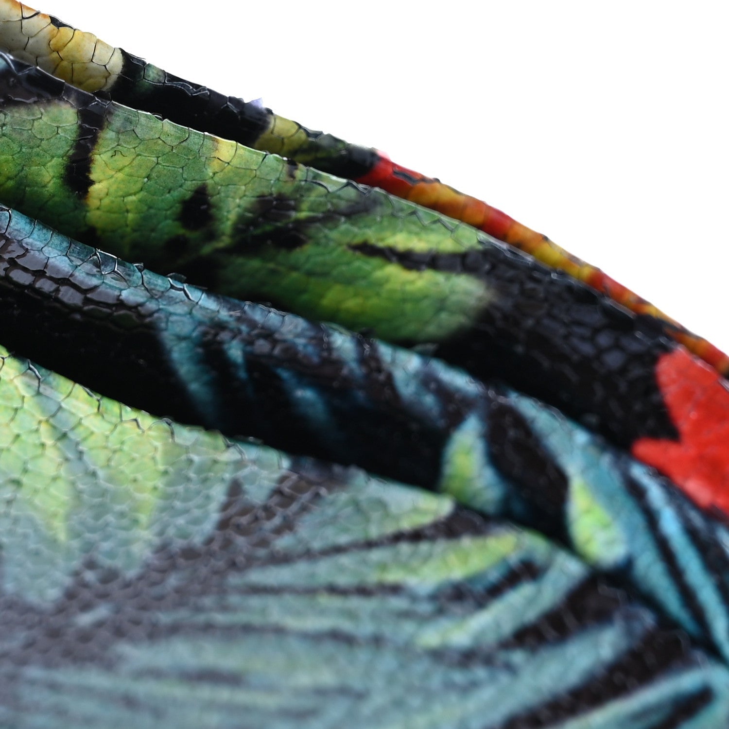 Crackled Calfskin Hawaii Print Paros Spikes Card Holder Black Gunmetal