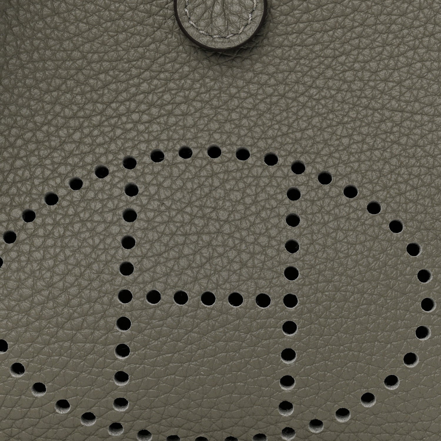 Taurillon Clemence Evelyne TPM Gris Meyer