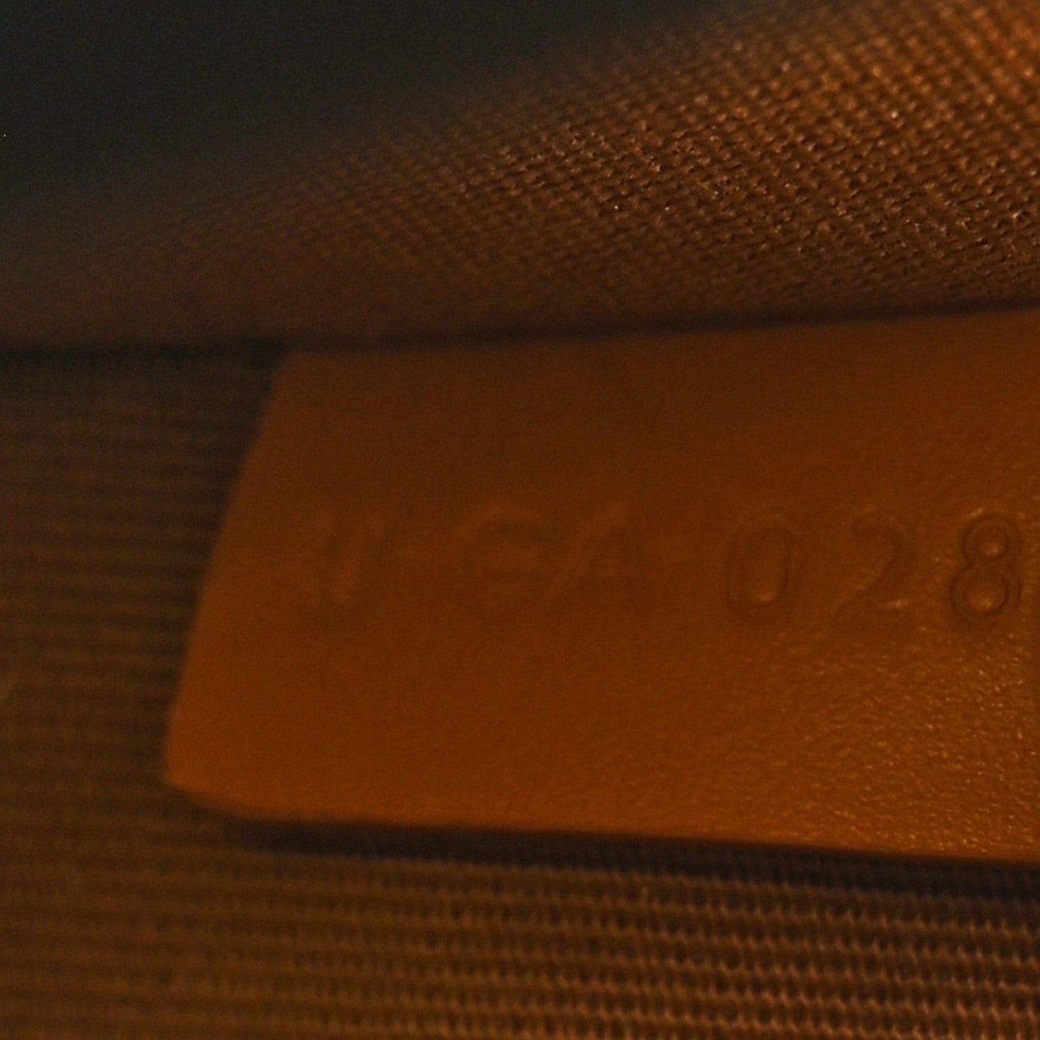 Triomphe Canvas Calfskin Camera Shoulder Bag Green