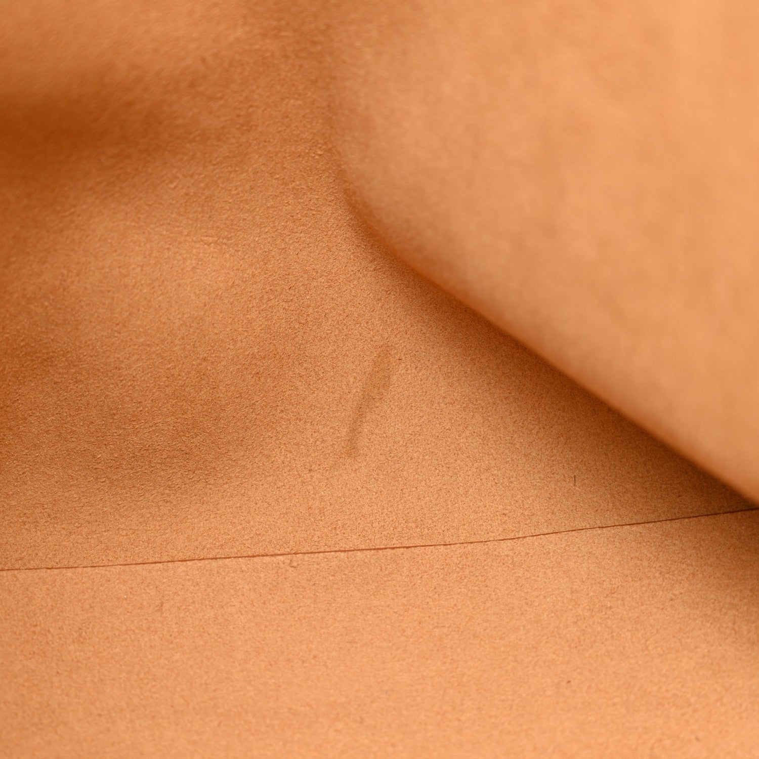 Alter Nappa Frayme Tote Brick