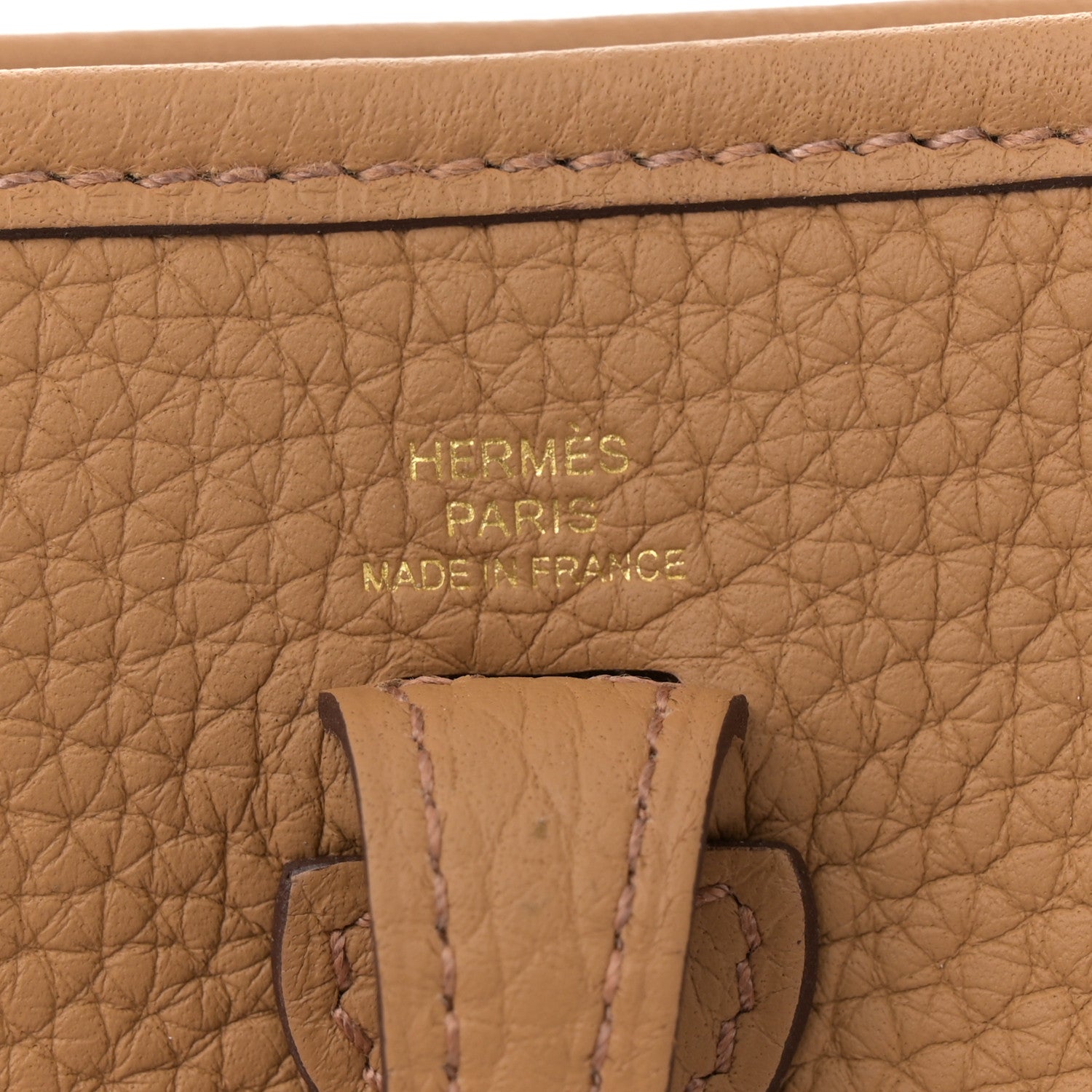 Taurillon Clemence Evelyne TPM Biscuit