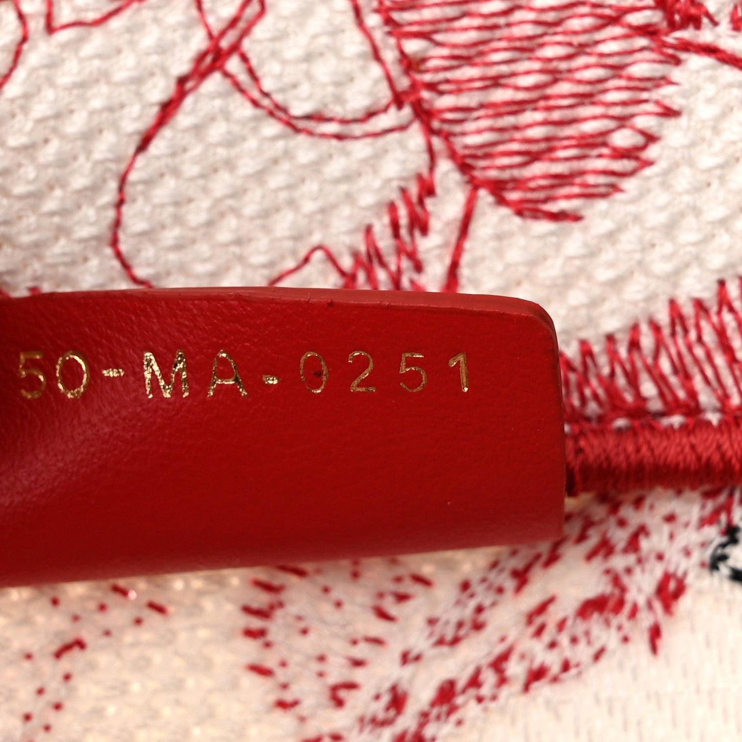 Canvas Embroidered Large Dioramour D-Royaume Book Tote Red Multicolor