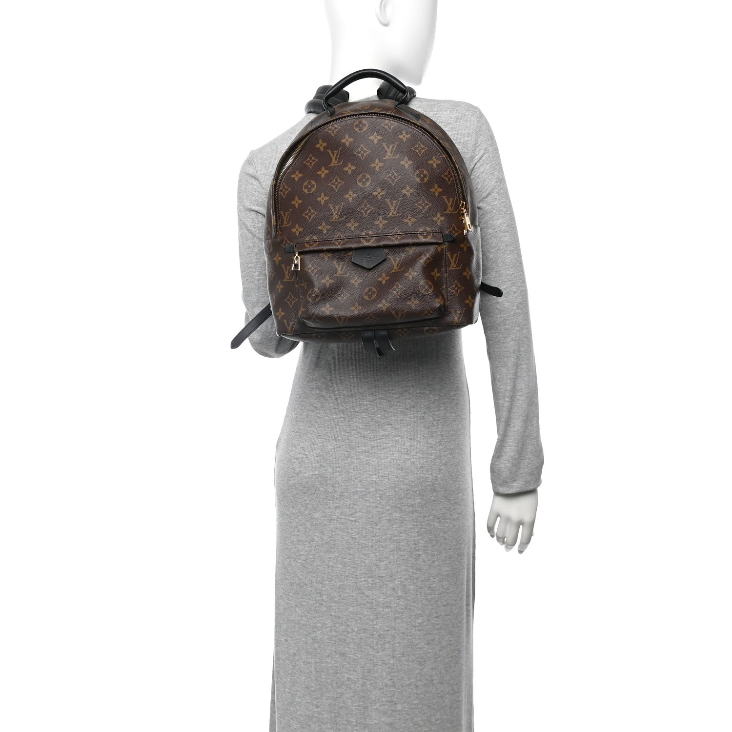 Monogram Palm Springs Backpack MM