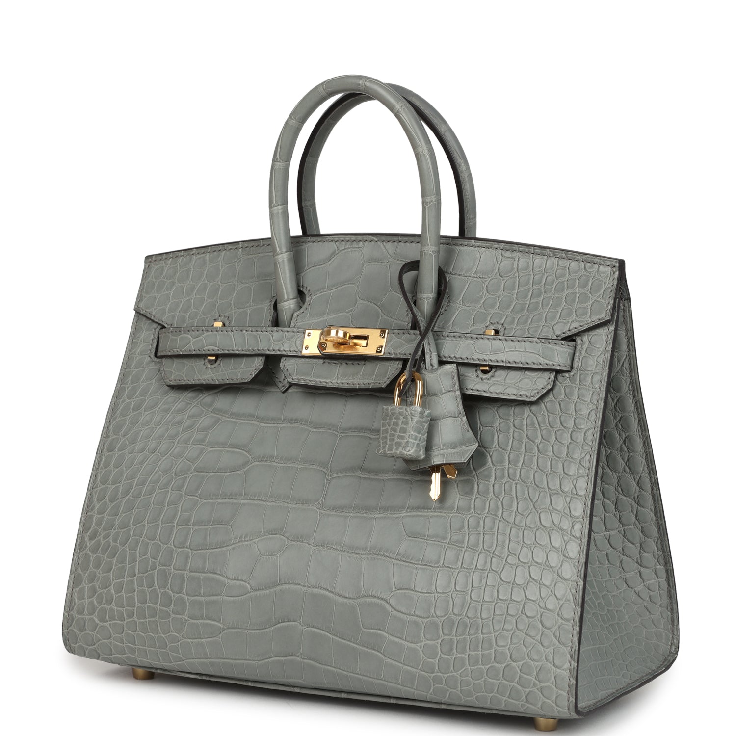 Hermes Birkin Sellier 25 Gris Ciment Matte Alligator Gold Hardware