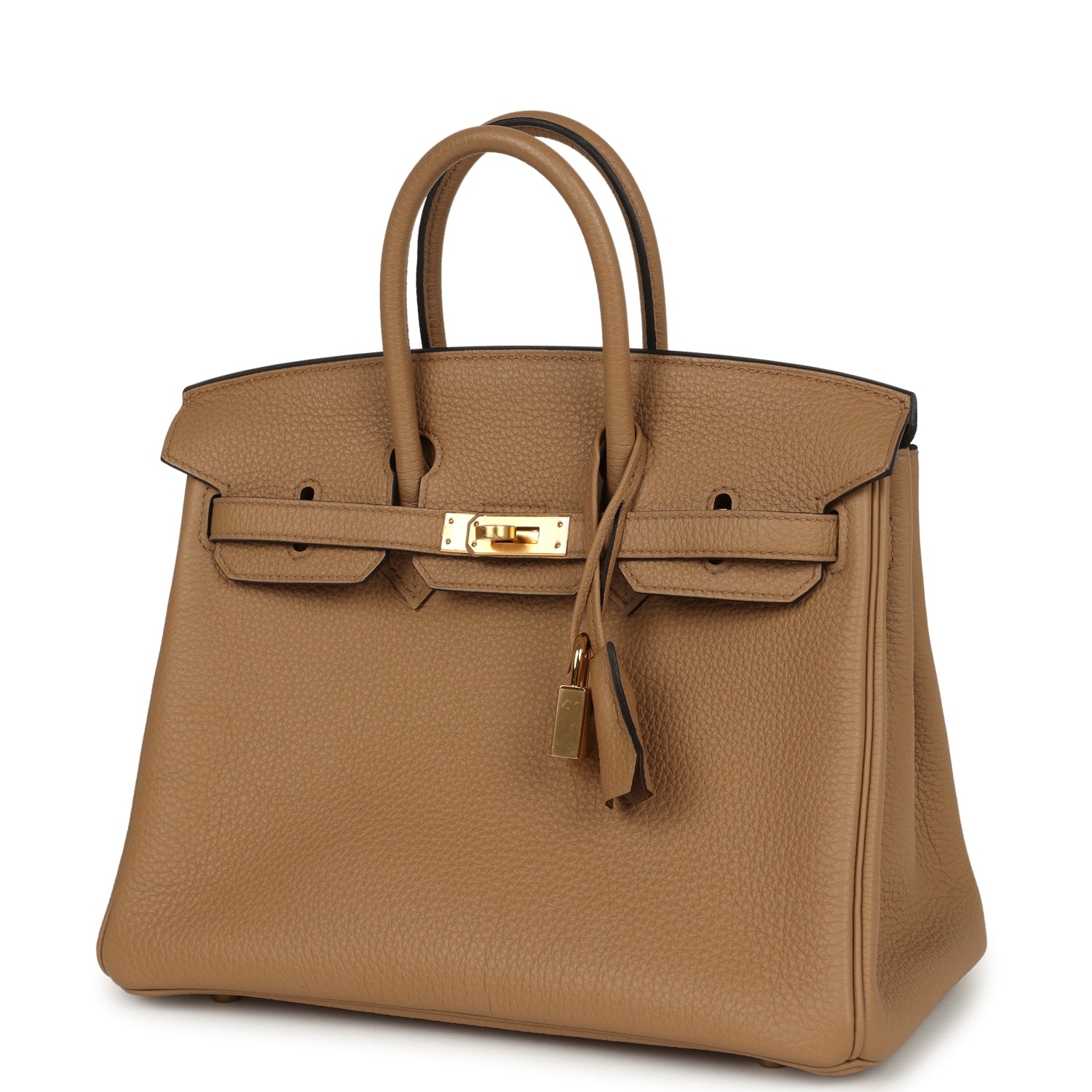 Hermes Birkin 25 Chai Togo Gold Hardware