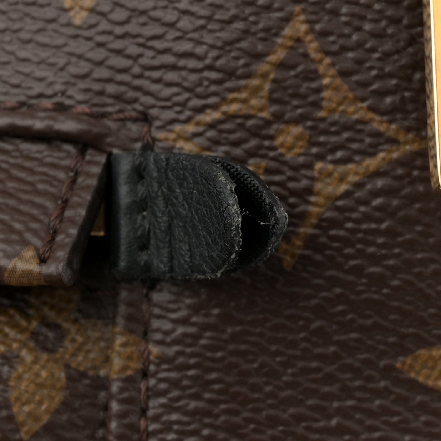 Monogram Palm Springs Backpack MM