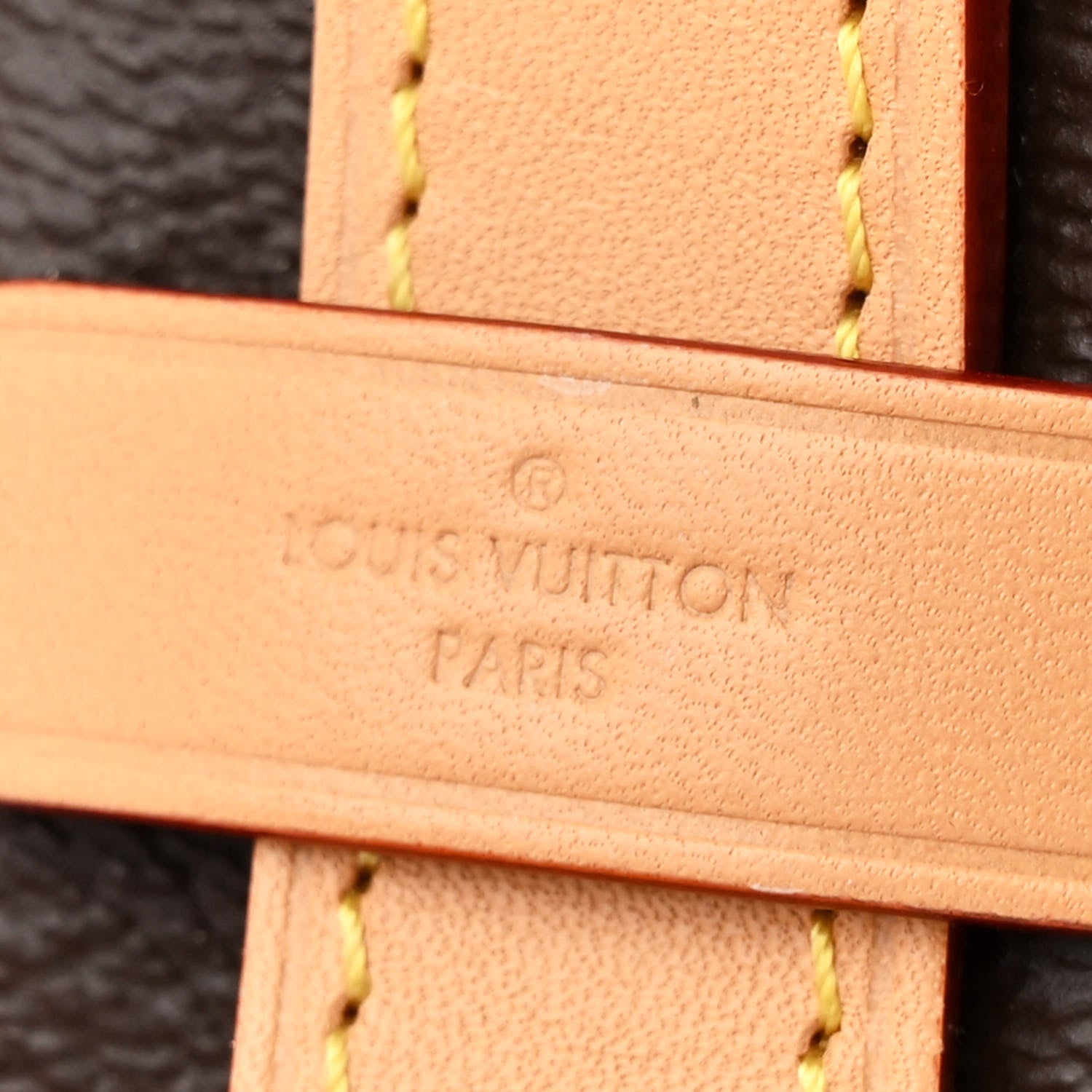 Monogram CarryAll MM