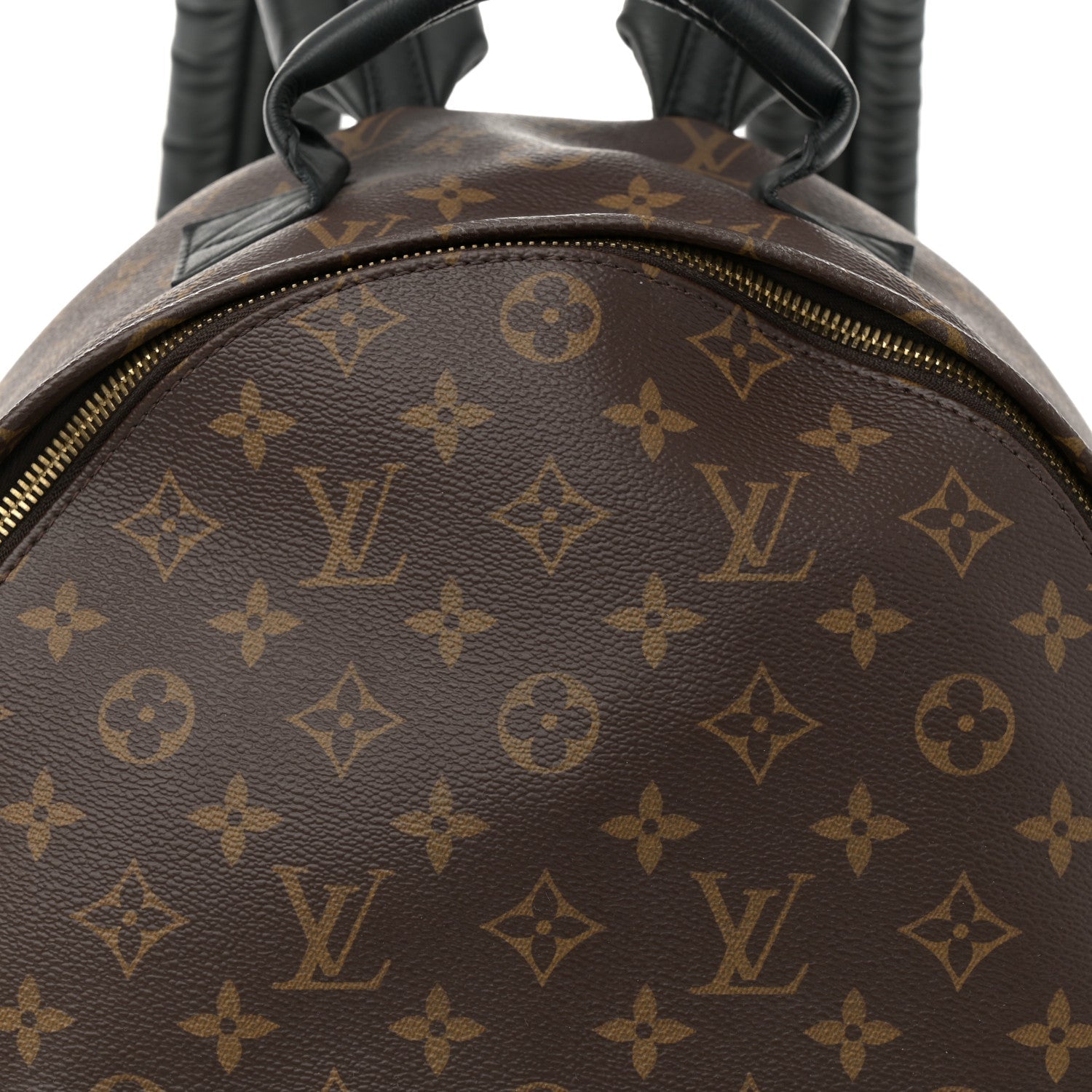 Monogram Palm Springs Backpack MM