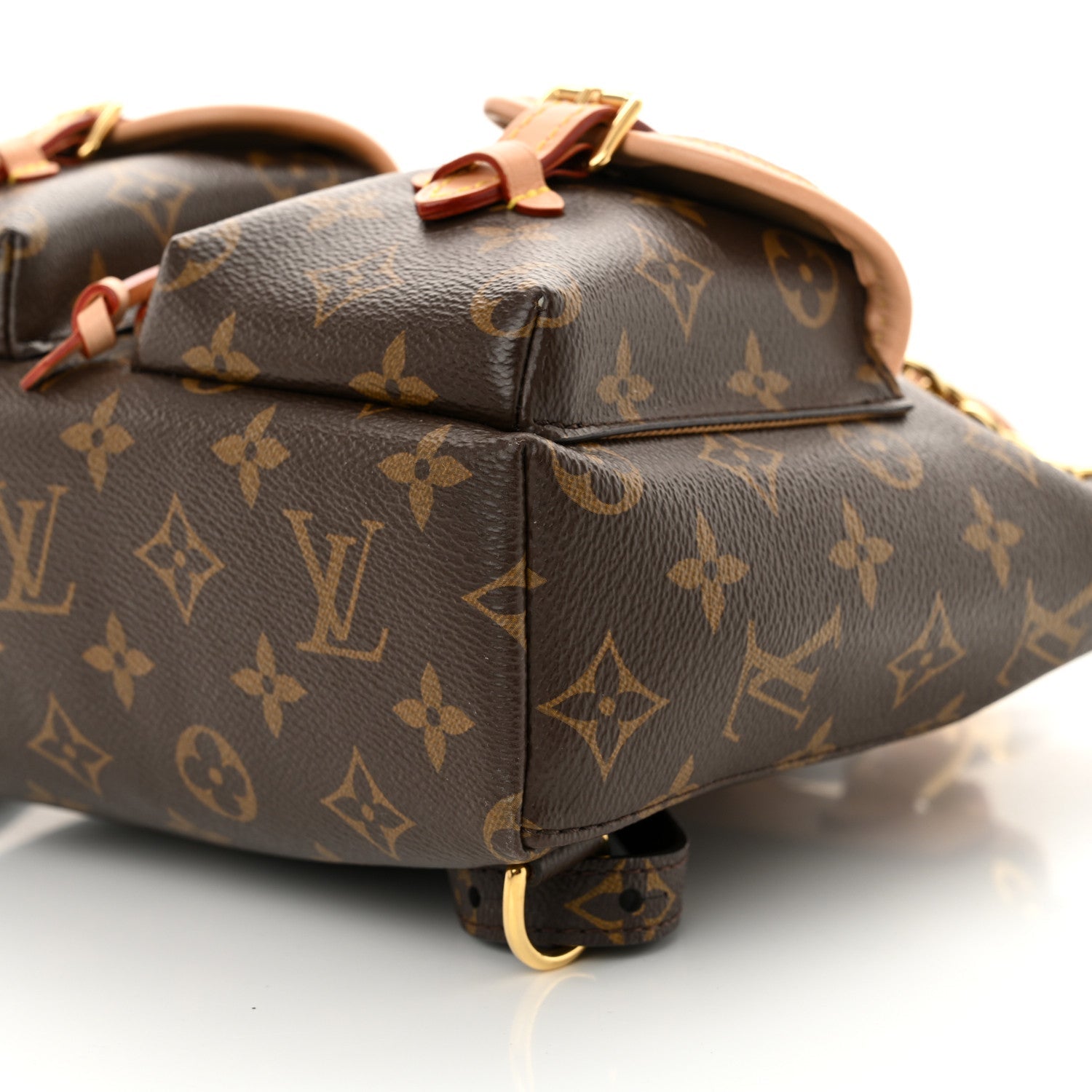 Monogram Excursion PM Backpack