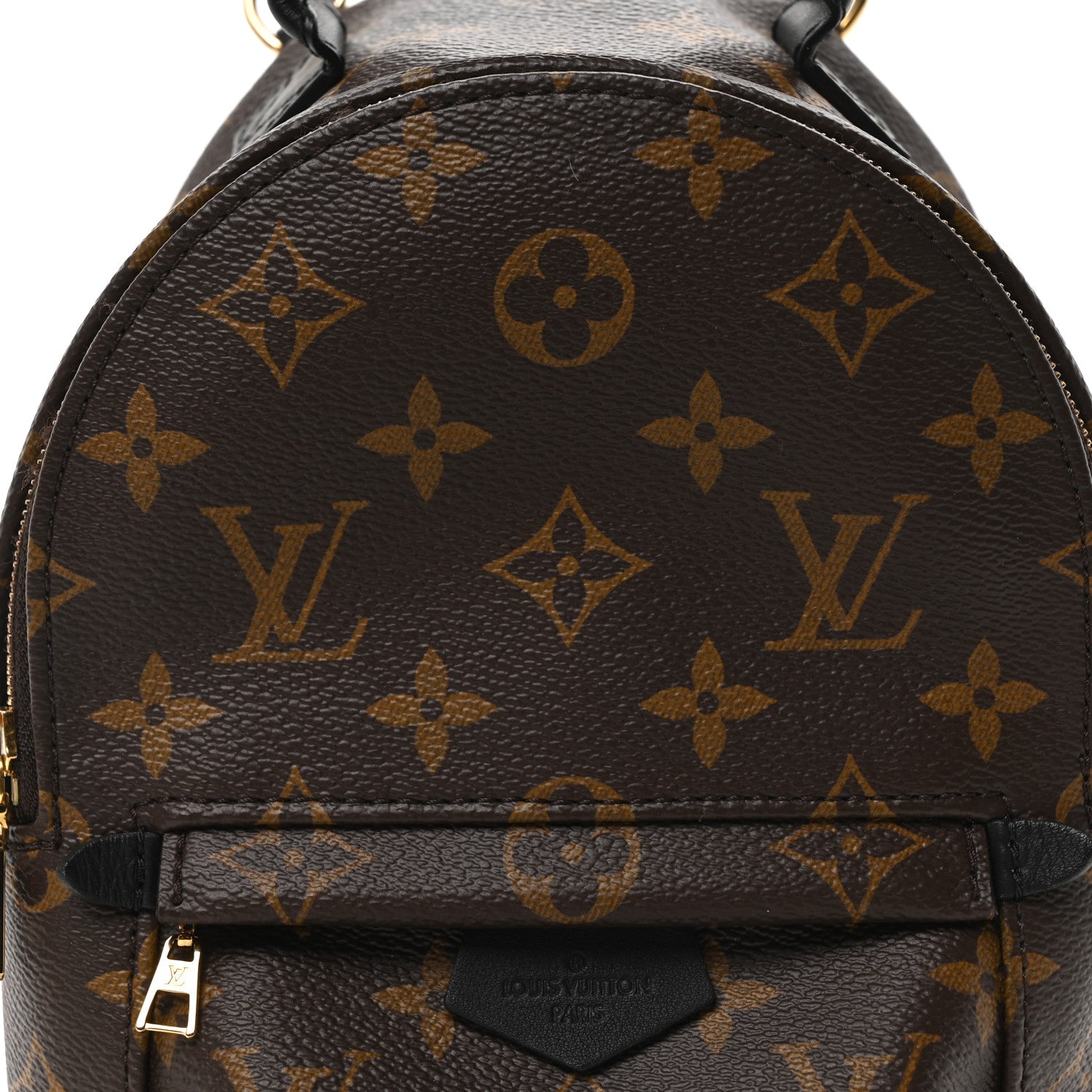 Monogram Palm Springs Backpack Mini