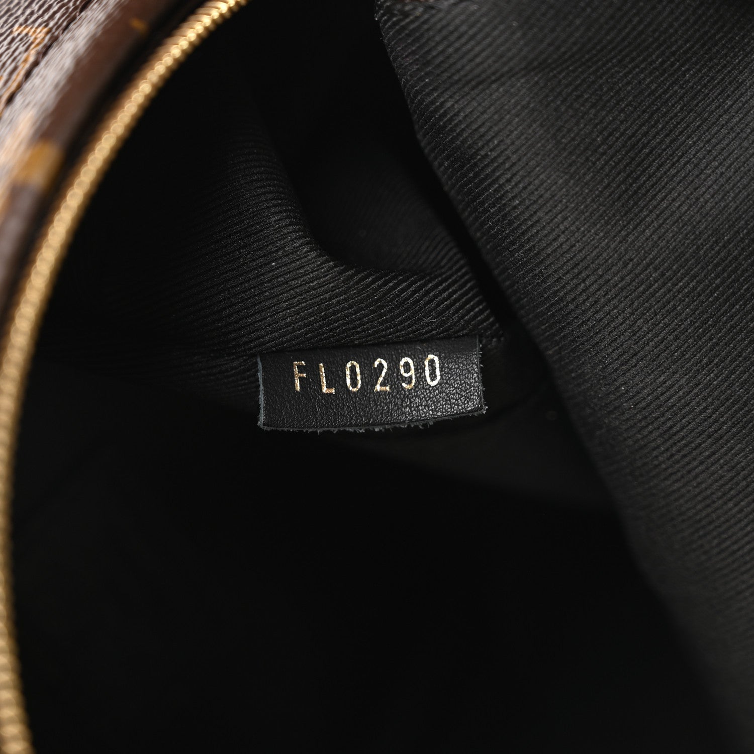 Monogram Palm Springs Backpack Mini