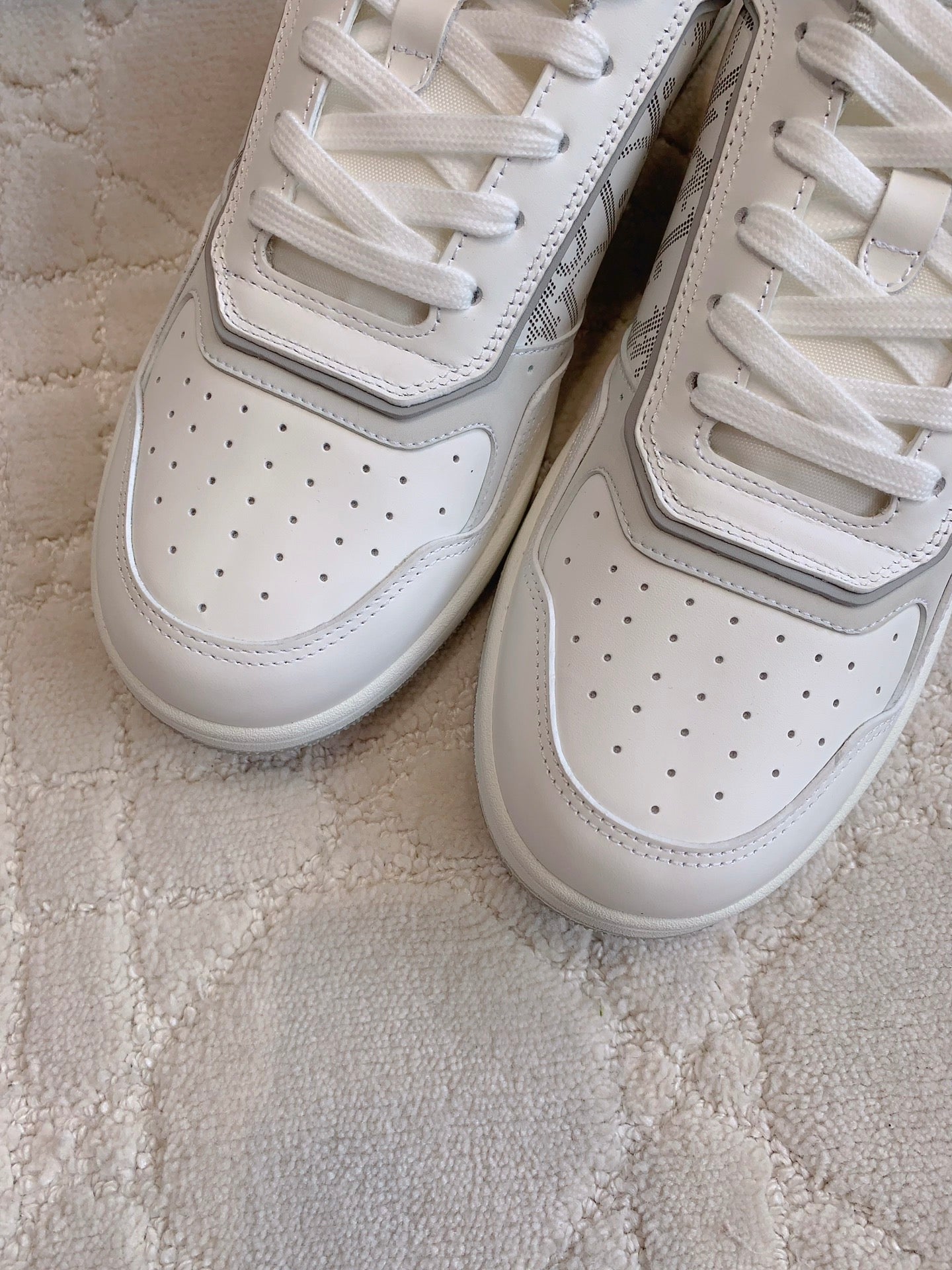 CD B27 Low-Top Sneaker White Grey Print Calfskin