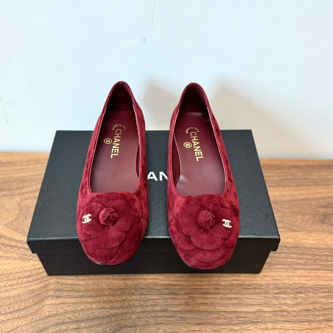 CC Ballet Flats Red With Camellia Red Suede