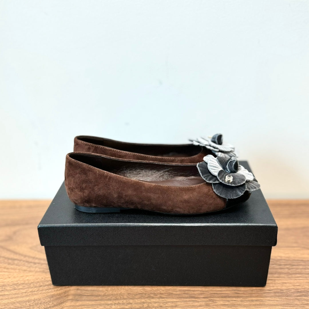 CC Ballet Flats Dark Brown With Camellia Grey Suede