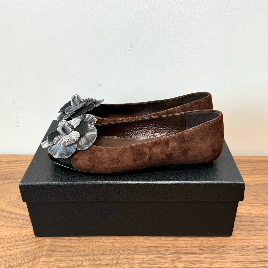 CC Ballet Flats Dark Brown With Camellia Grey Suede