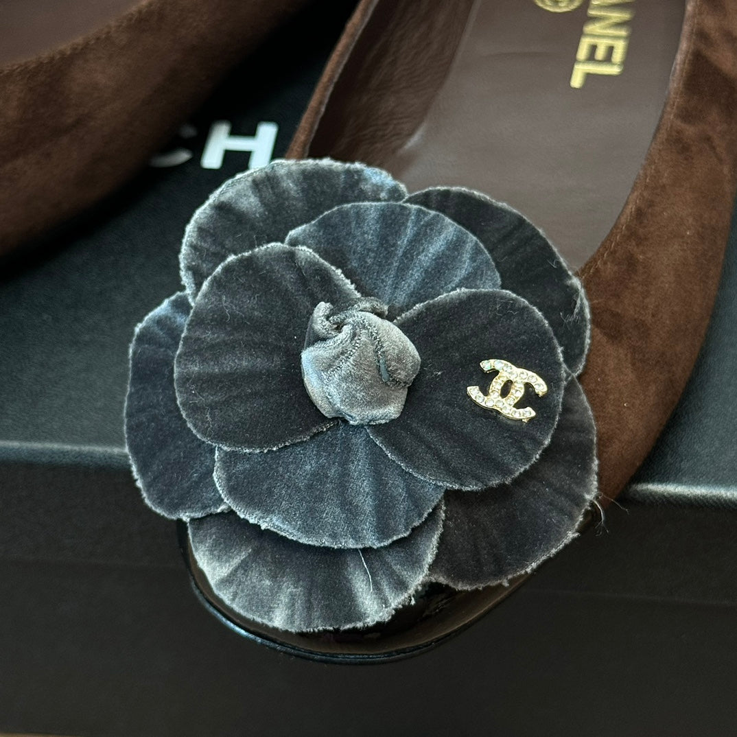 CC Ballet Flats Dark Brown With Camellia Grey Suede