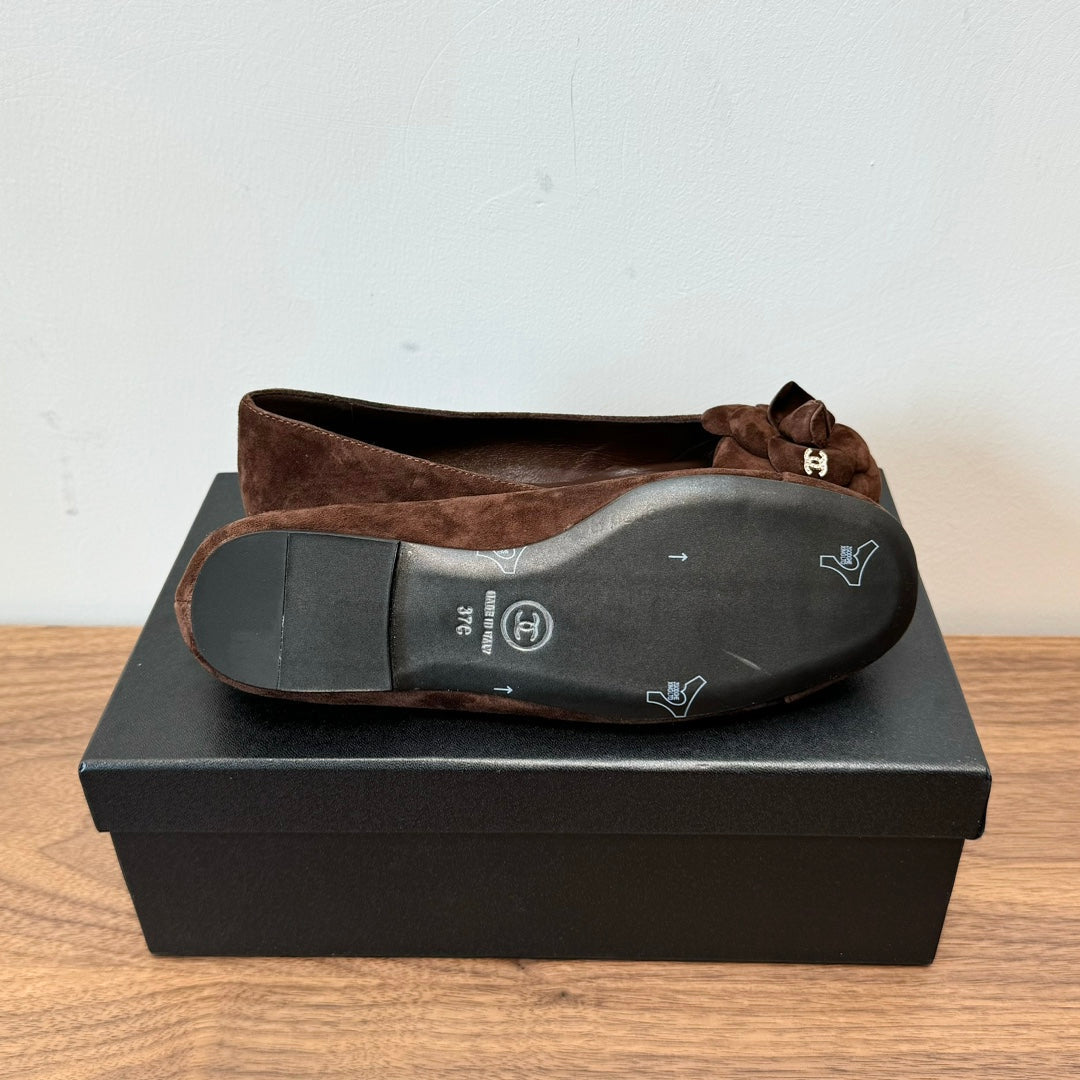 CC Ballet Flats Dark Brown With Camellia Dark Brown Suede