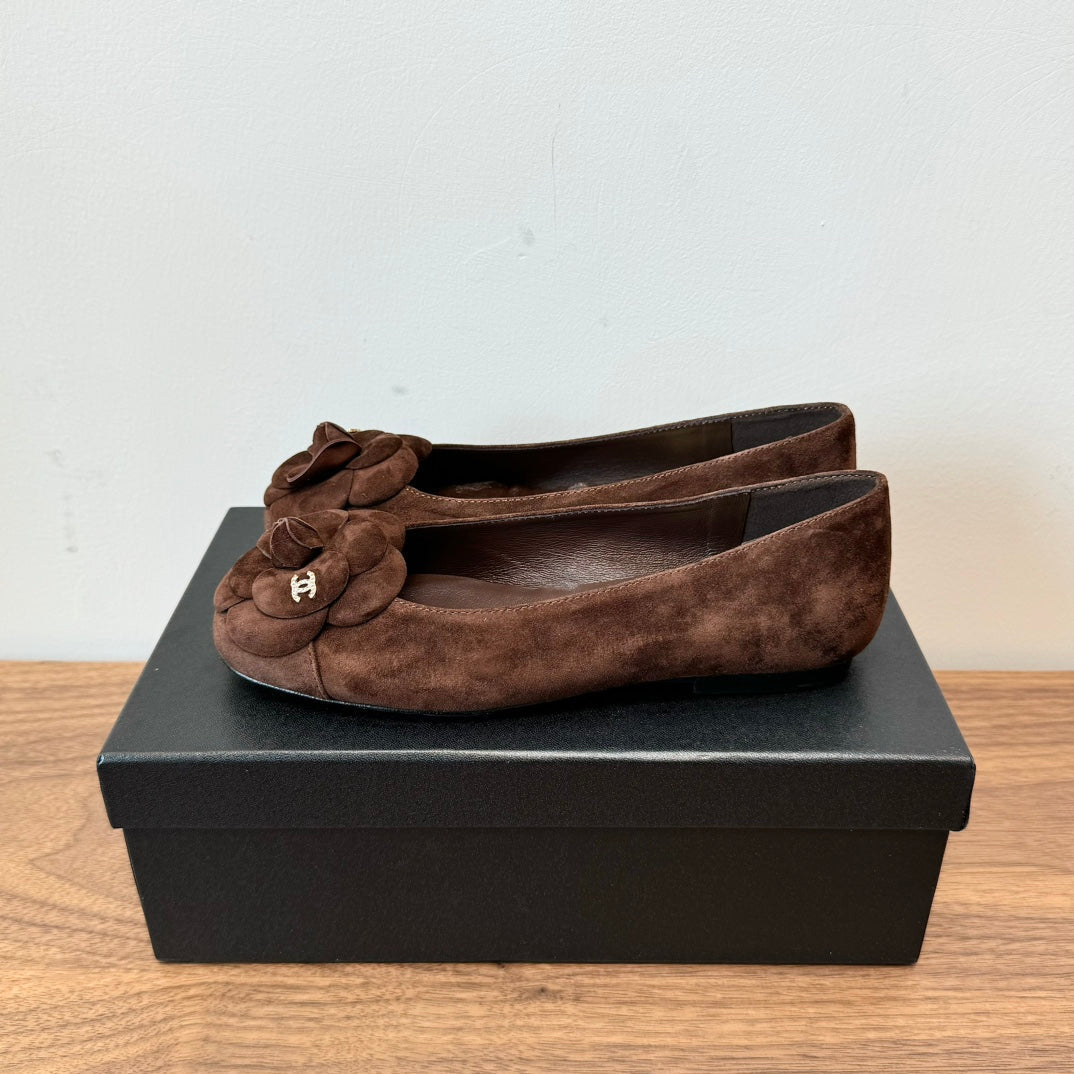 CC Ballet Flats Dark Brown With Camellia Dark Brown Suede