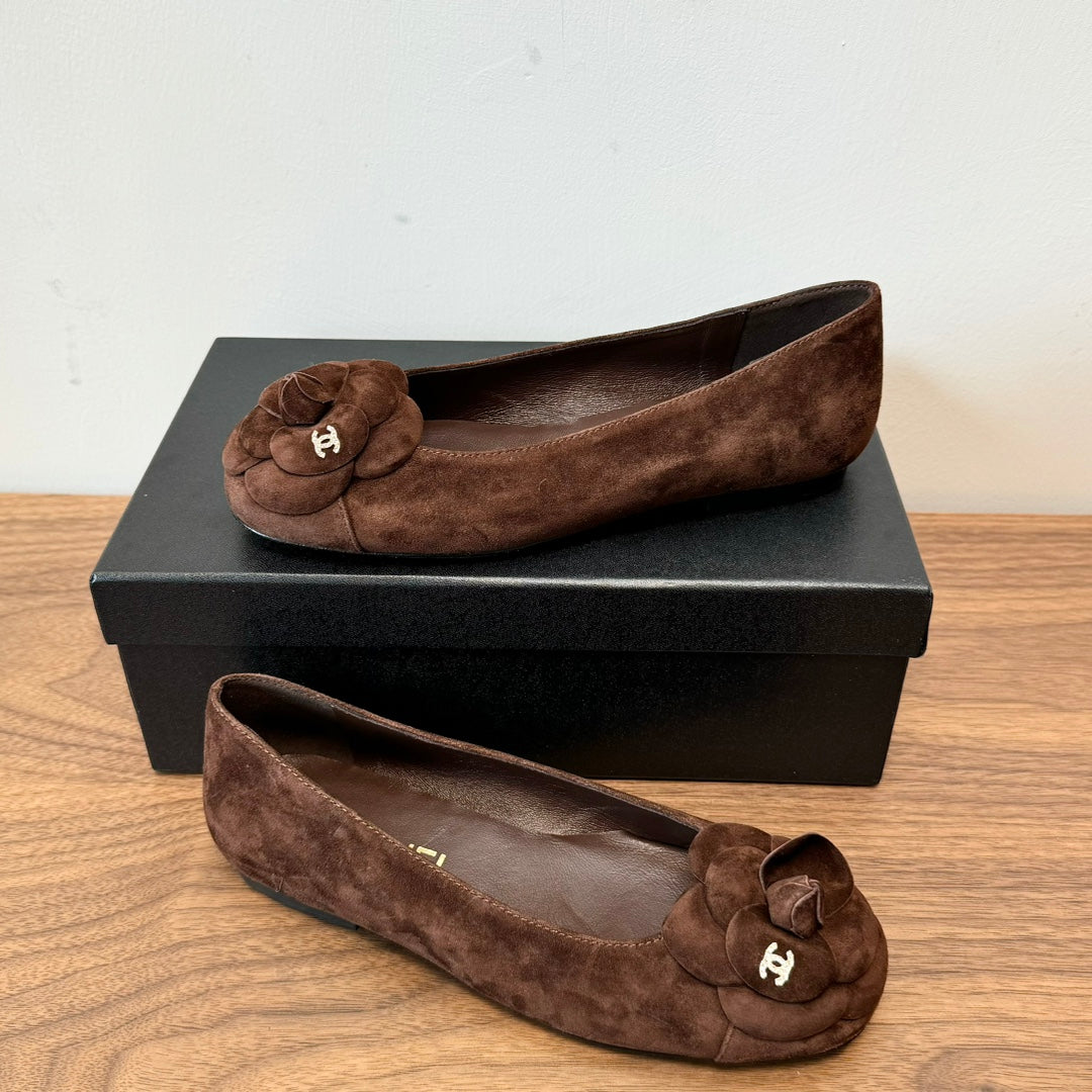 CC Ballet Flats Dark Brown With Camellia Dark Brown Suede