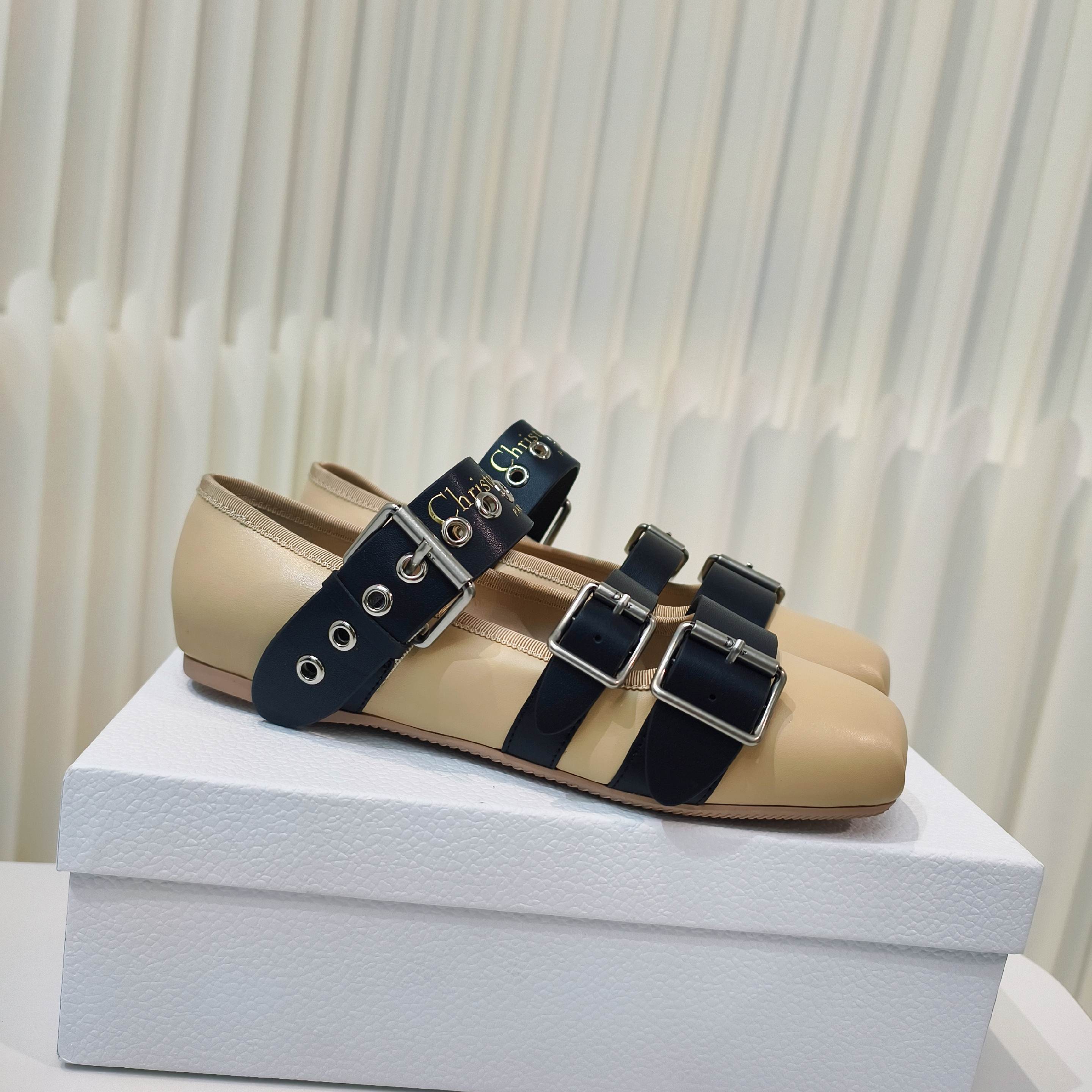 CD 25 Punk Ballet Flat  Calfskin and Suede 237991