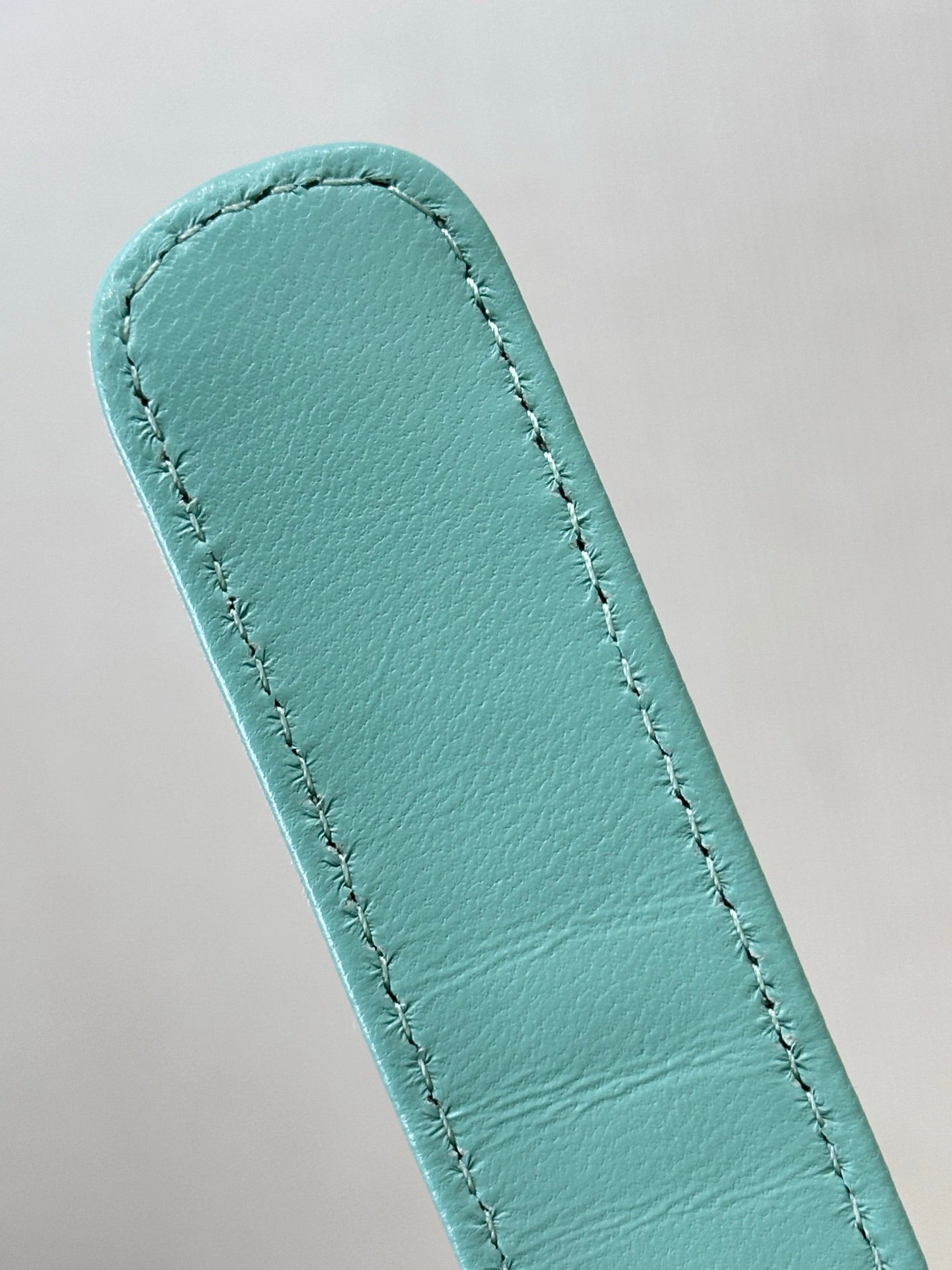 CC 25C Hobo Bags 40cm Light Green Suede