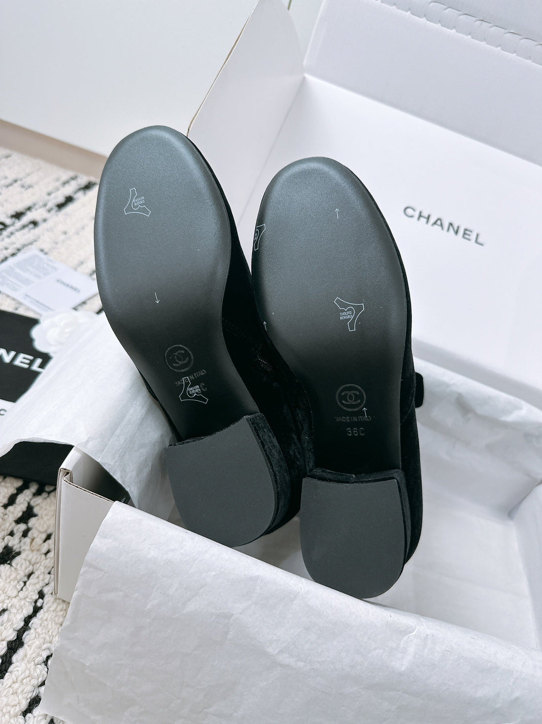CC Ankle Boots In Black Velvet With Bow Tie 144659