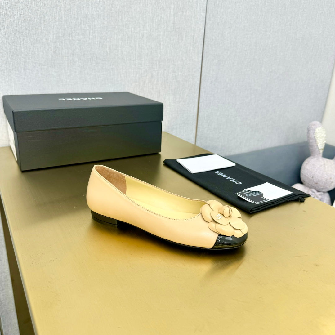 CC 25P Ballet Flat Flower Beige Calfskin Black Patent Calfskin