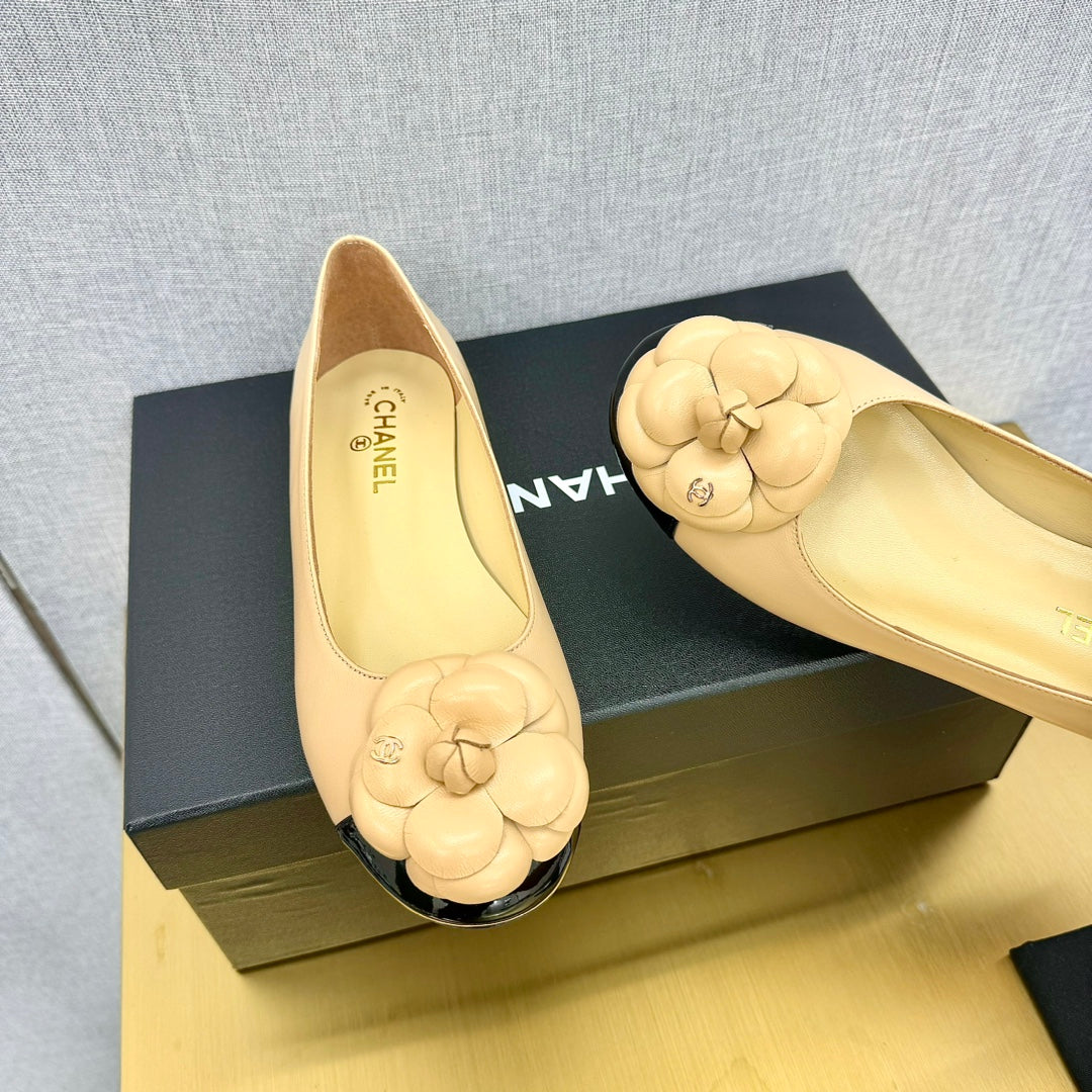 CC 25P Ballet Flat Flower Beige Calfskin Black Patent Calfskin