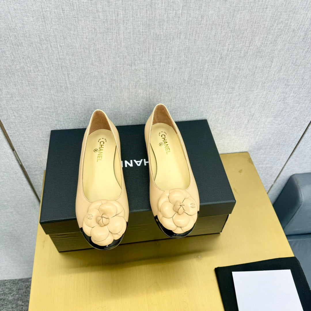 CC 25P Ballet Flat Flower Beige Calfskin Black Patent Calfskin