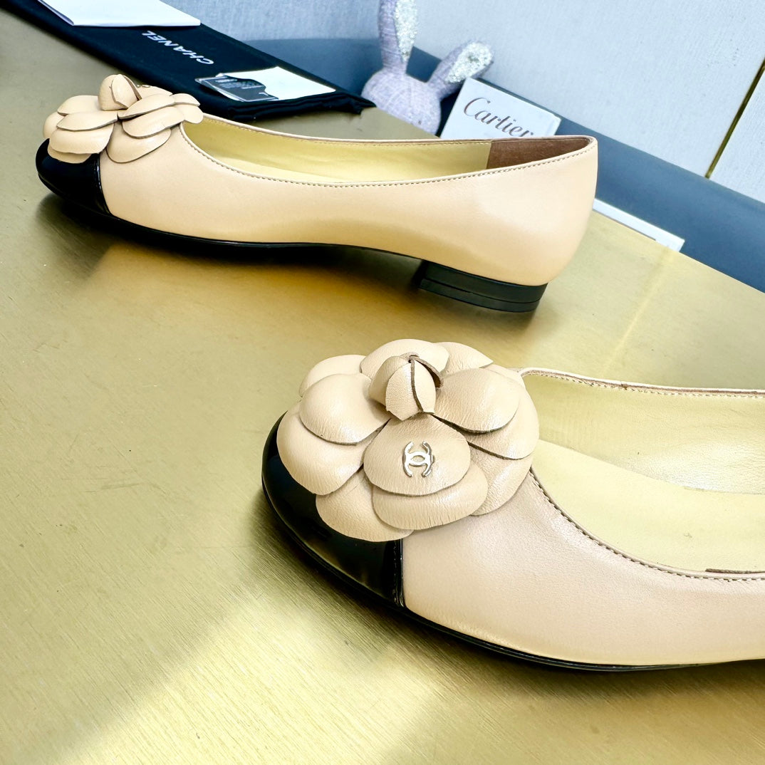 CC 25P Ballet Flat Flower Beige Calfskin Black Patent Calfskin