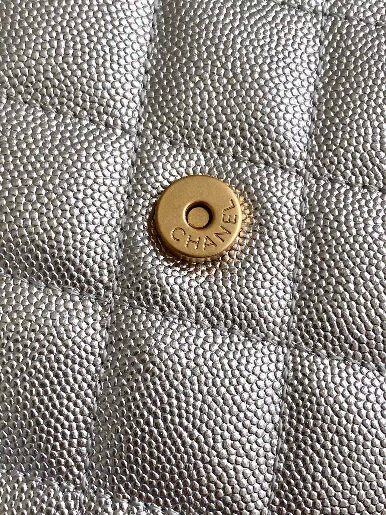 CC 25C Hobo Bags 40cm Silver Metalic Grained Calfskin