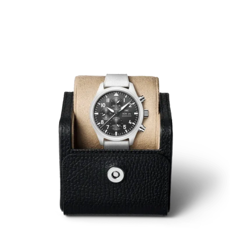IWC Pilot Series IW389105 Watch ( Lake Tahoe Special Edition)