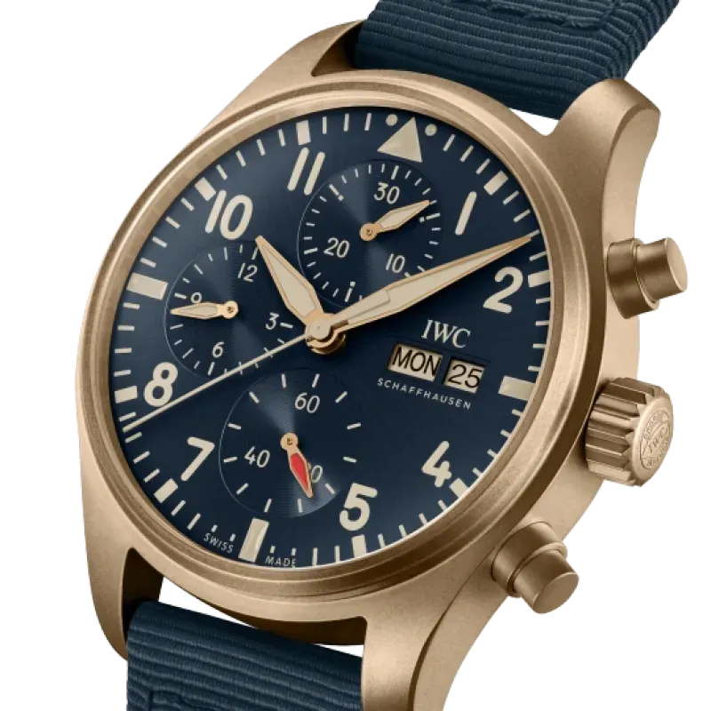 IWC pilot series IW388109 watch