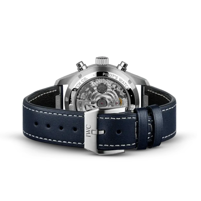 IWC pilot series IW388101 watch